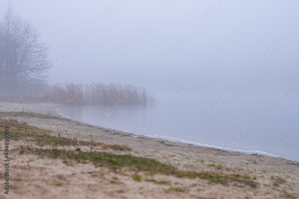 river bank shrouded in mist
