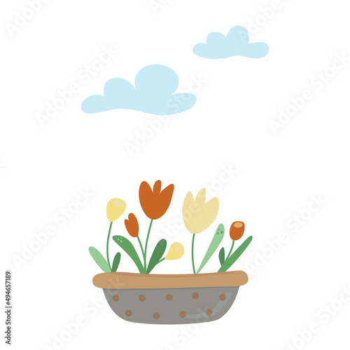 Vector yellow and red tulips, plant branch, clouds, flowers grow in a flower pot, in a cute country style with polka dots. Illustration in simple flat cartoon style. Isolated on white background