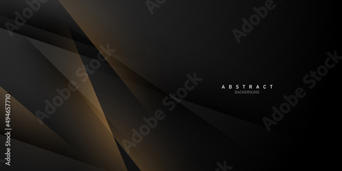 black abstract background modern and elegant vector design vector illustration