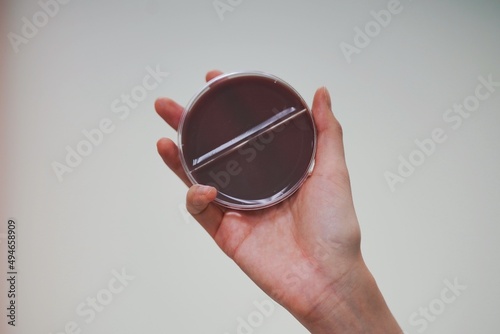 A lab technician arranges multiple test tubes filled with samples in a rack, showcasing a scientific setup. photo