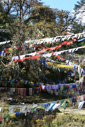 buddhist prayer flags at pele la col in bhutan 