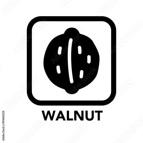 Square frame walnut icon, one of the food allergy icons set
