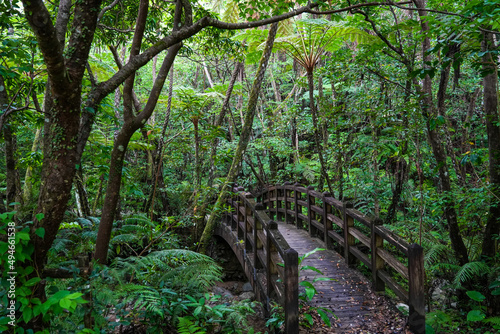 滝に続く橋