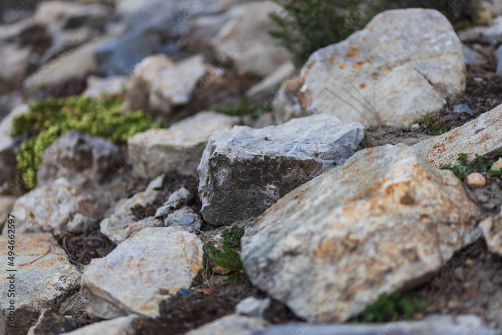 texture background rocks stone beach texture background rocks stone beach