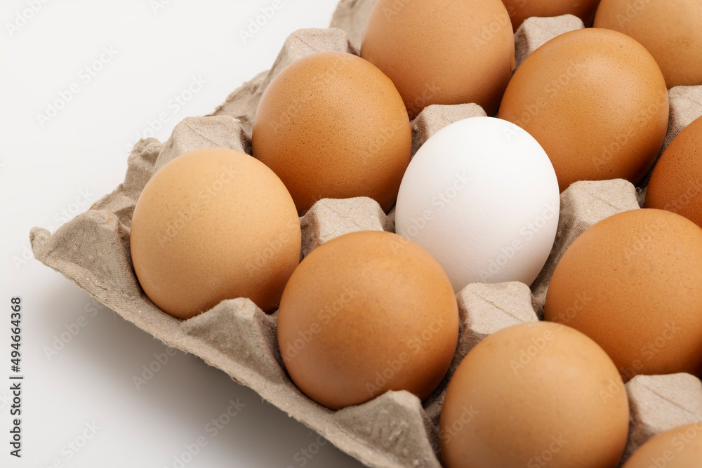 White and brown chicken egg in paper tray on white background