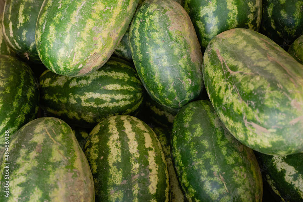 a lot of green watermelons lie on the market counter a lot of green watermelons lie on the market counter