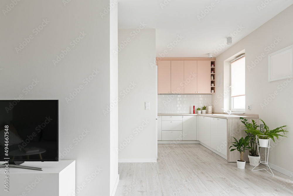 Widok na kuchnie i fragment salonu w minimalistycznym nowoczesnym stylu. Białe i różowe fronty mebli oraz sprzęt.  - obrazy, fototapety, plakaty 