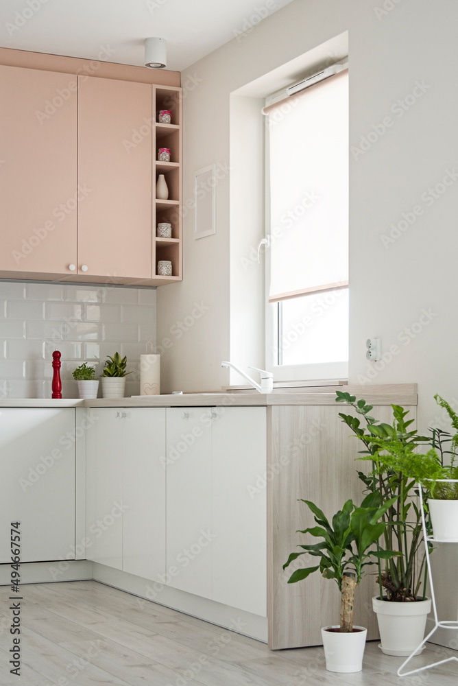Detal na kuchnię w minimalistycznym nowoczesnym stylu. Białe i różowe fronty mebli oraz sprzęt. Donice z kwiatkami - obrazy, fototapety, plakaty 