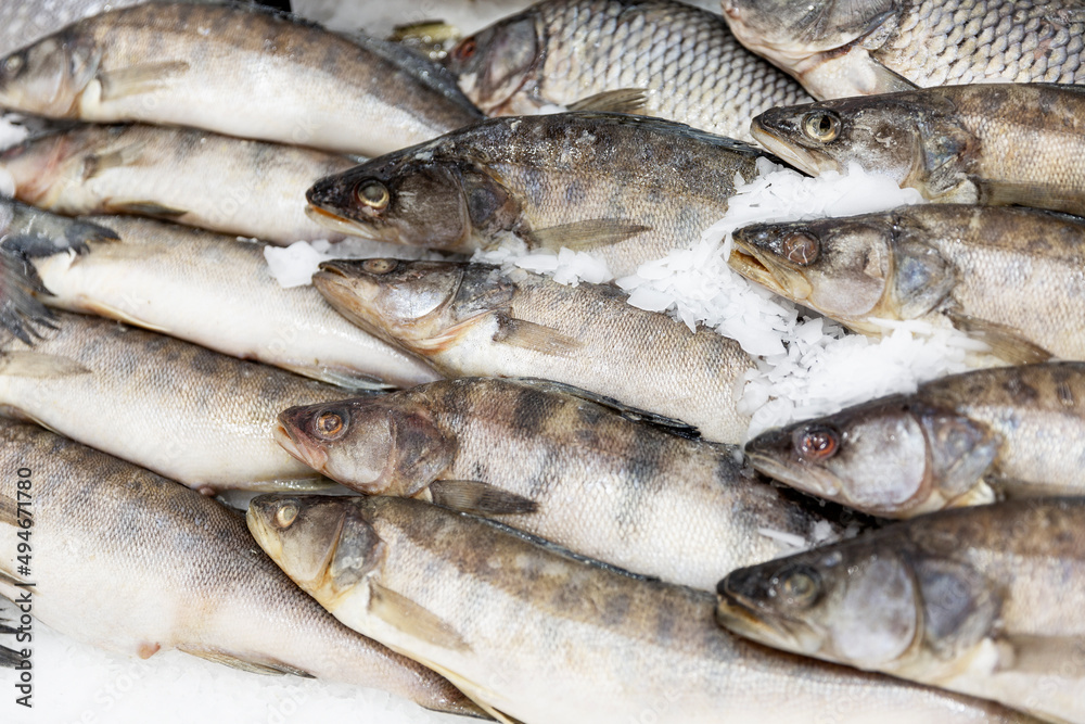 Chilled fish on ice in the store. Healthy diet food. Close-up. Chilled fish on ice in the store. Healthy diet food. Close-up.