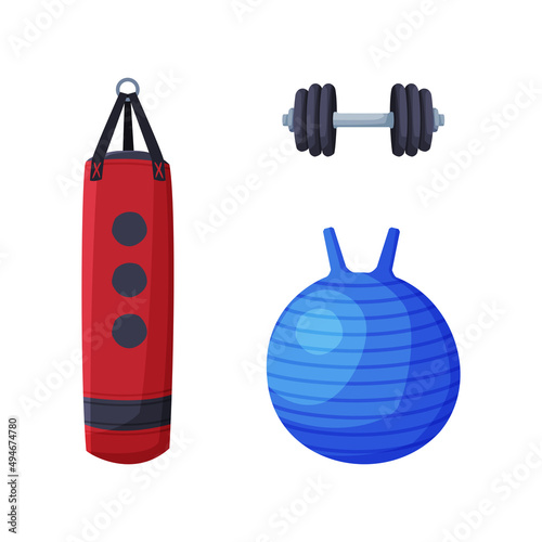 Fitness and sports equipment set. Punching bag, fitness ball and dumbbell vector illustration