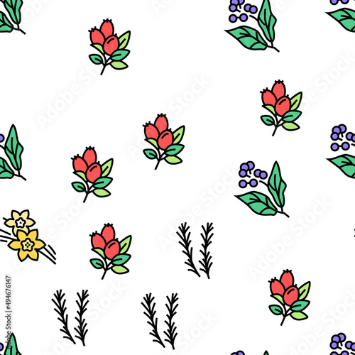 Aromatherapy Herbs Vector Seamless Pattern Thin Line Illustration