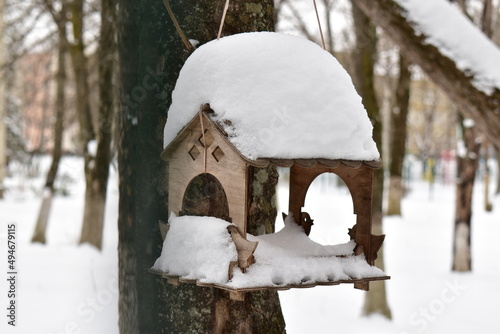 bird feeder after a snowfall on a cloudy day © NADEZHDA RYBAK