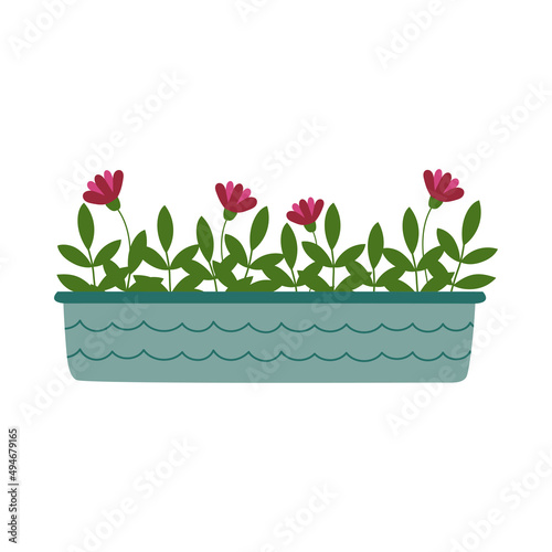 Pink flowers and green branches in blue flowerpot. Houseplant in doodle style. 