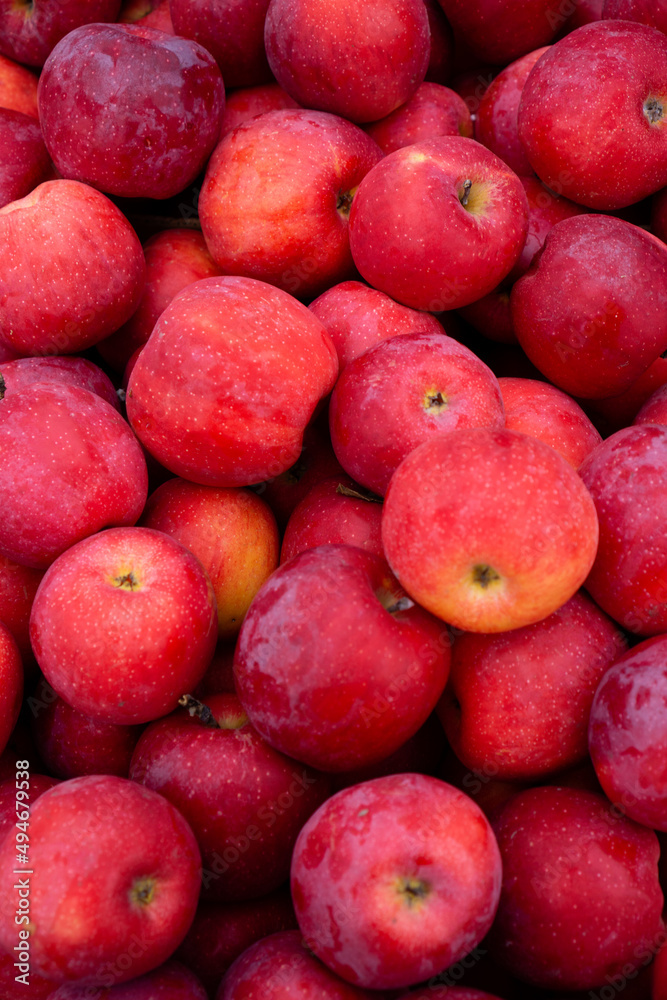 Red apples in a pile in a supermarket or bazaar Red apples in a pile in a supermarket or bazaar