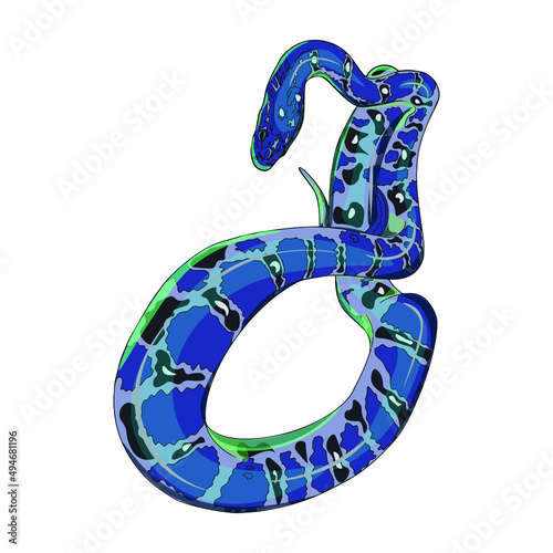 Isolated vector illustration of a snake on a white background. Boa constrictor as a blank for designers, printing on clothing, packaging, logo, icon