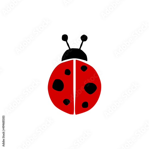 Hand drawn ladybug bug icon photo