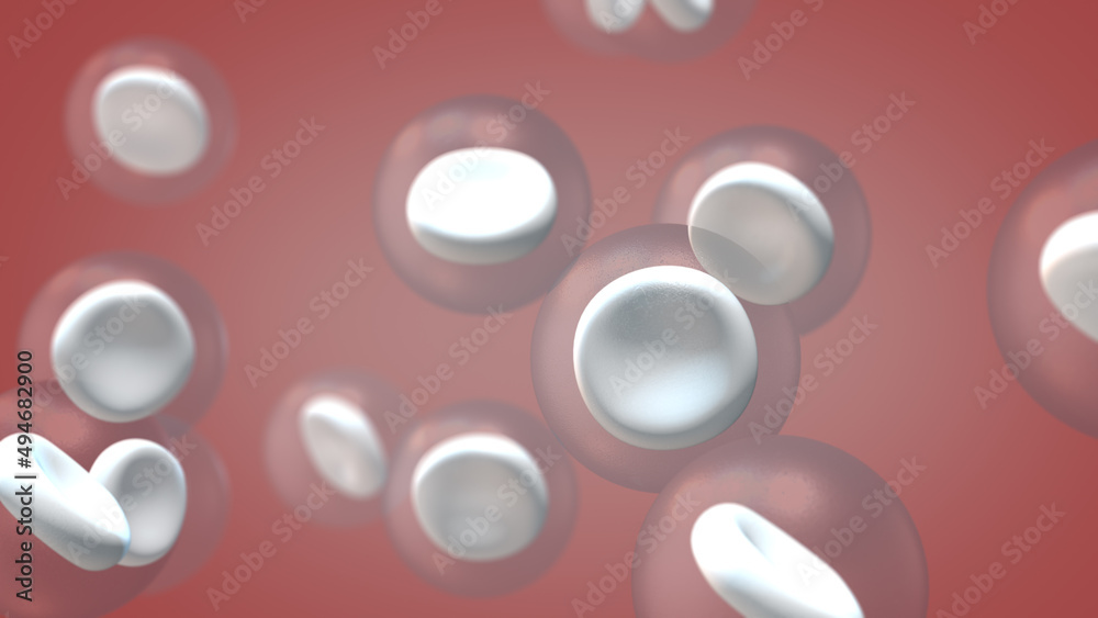 Human blood cells medical animation