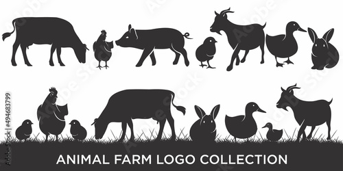 set of Vector Illustration logos and badges farm animals . Farm animals badges