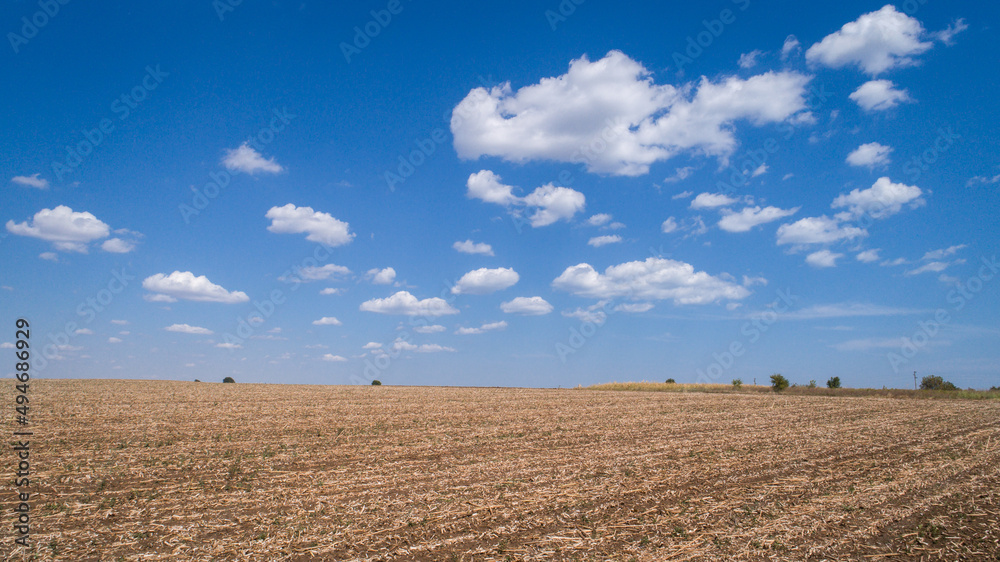 ploughed cultivated ground, field and cloudy blue sky.