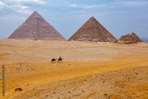 Egyptian man and his camels walking in The Sahara Desert in sunny day.