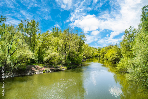 the river flows near the trees. forest landscape. blue sky with clouds on a summer day.