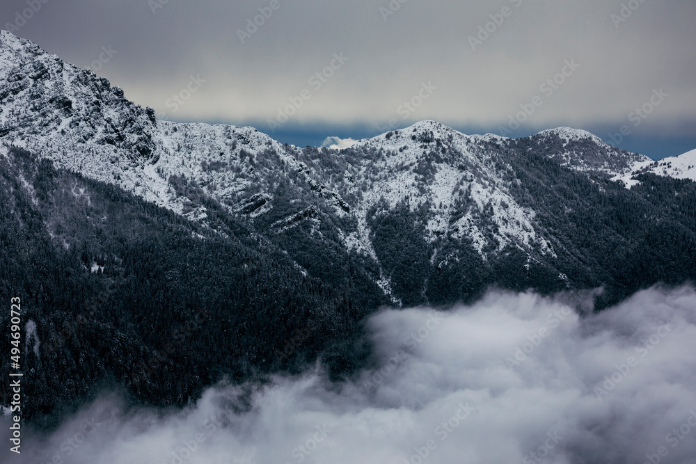 snow covered mountains