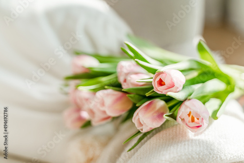Spring concept with pink tulips lying on a blanket in a bright modern interior. A beautiful banner for spring and summer.