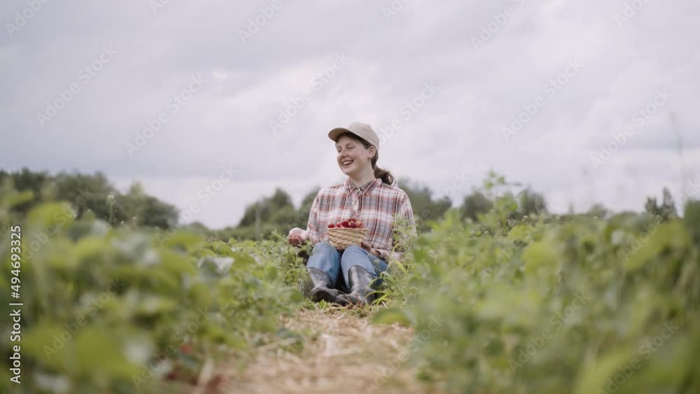 Young happy woman in plaid shirt, jeans, cap and boots sits between rows of green strawberry bushes. Farmer smiles, tosses berry, strokes cultivated plants. On feet stands basket of ripe red fruits. Young happy woman in plaid shirt, jeans, cap and boots sits between rows of green strawberry bushes. Farmer smiles, tosses berry, strokes cultivated plants. On feet stands basket of ripe red fruits.