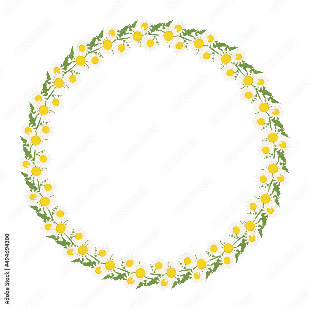 Daisy wreath. Round frame, cute white flowers chamomile with yellow hearts and leaves. Festive decorations for wedding, holiday, postcard, poster and design. Vector flat illustration Daisy wreath. Round frame, cute white flowers chamomile with yellow hearts and leaves. Festive decorations for wedding, holiday, postcard, poster and design. Vector flat illustration