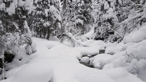 Winter Snowy Forest Landscape Aerial