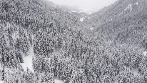 Winter Snowy Forest Landscape Aerial