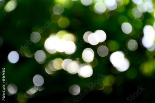 Bokeh Abstract Blur Background green nature forest Use to design backgrounds and wallpapers.