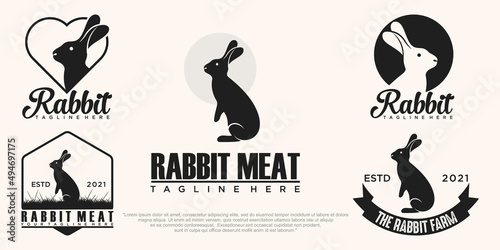 collection Rabbit Logo template vector icon illustration design