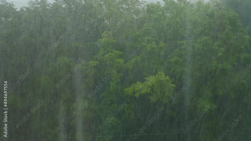 Heavy rain in summer. View from the window of the forest and a heavy downpour. Hurricane. Heavy pouring rain over green trees