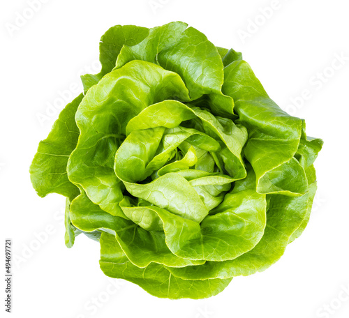 Canvas Print top view of fresh butterhead lettuce isolated