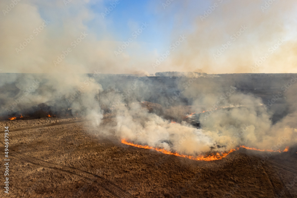 Wild fire burning everything on its way: grass, trees, bushes. Dangerous wildfire in field