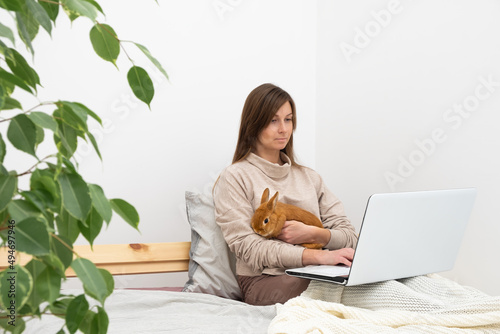 Caucasian brunette woman,girl with long hair sitting on bed in front of laptop with cute little rabbit,pet in white modern interior.Distance education,work from home,online shopping.Copy space