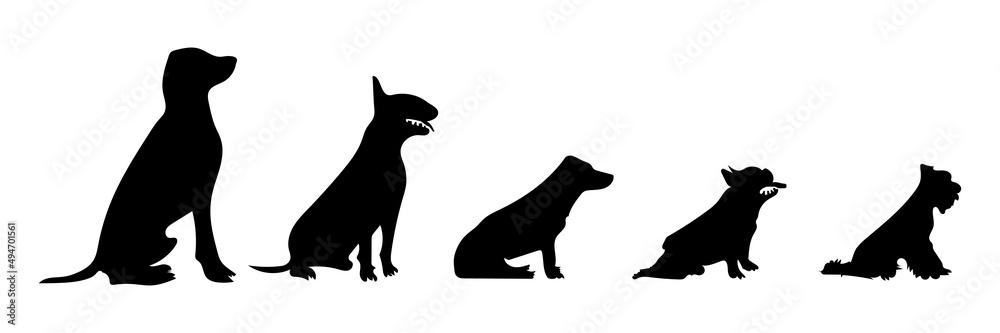 Vector silhouette of a dog on white background.
