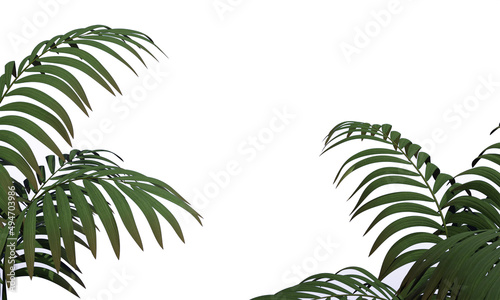 green plant for background