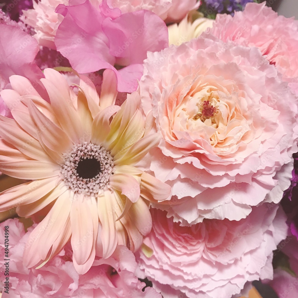 Fototapeta premium A Beautiful Pink roses bouquet