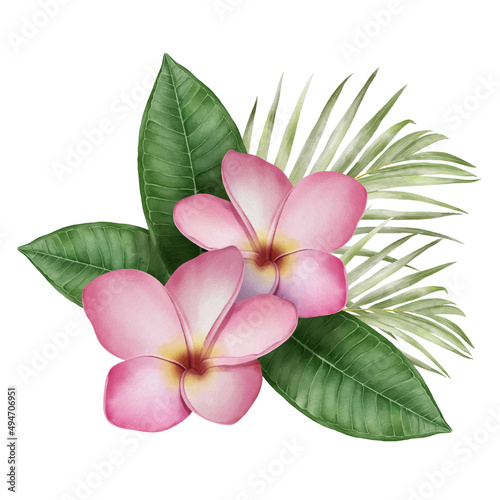 Digital watercolor painting with tropical pink Frangipani flowers and palm leaves.