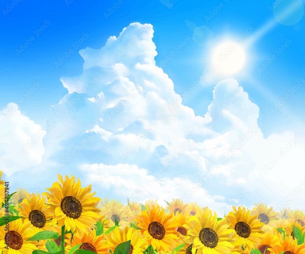 入道雲のある青空に輝く太陽の下美しいひまわりが咲くひまわり畑の初夏フレーム背景素材 Stock Vector Adobe Stock