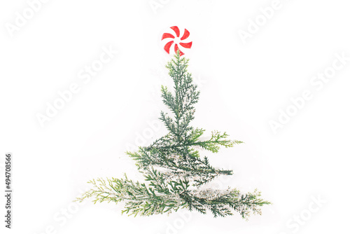 christmas tree on white