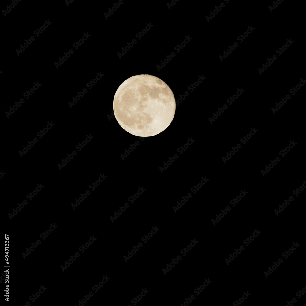 Fototapeta premium Moon Timelapse, Stock time lapse : Full moon rise in dark nature sky, night time. Full moon disk time lapse with moon light up in night dark black sky. High-quality free video footage or timelapse