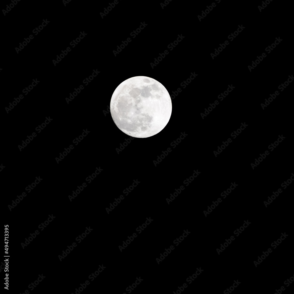 Obraz premium Moon Timelapse, Stock time lapse : Full moon rise in dark nature sky, night time. Full moon disk time lapse with moon light up in night dark black sky. High-quality free video footage or timelapse