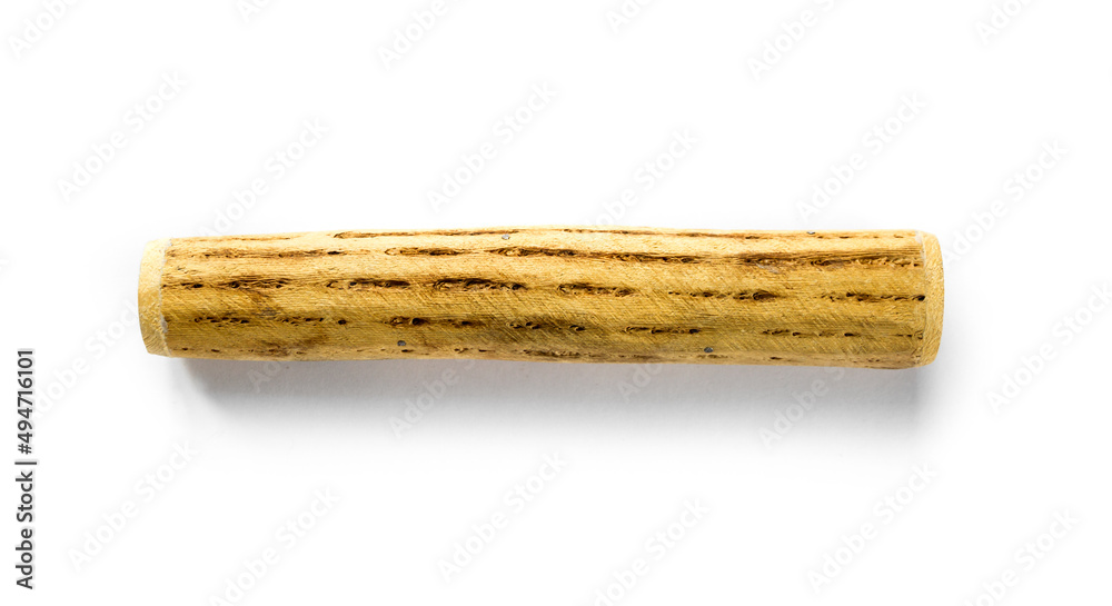 Traditional rain stick made of cactus wood isolated on white