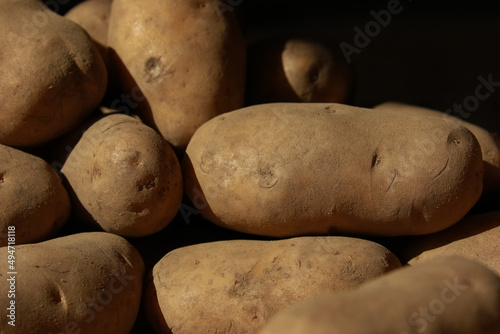 potato close-up, selective focus, backround