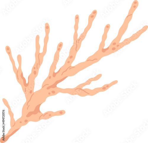 Coral Colored Illustration