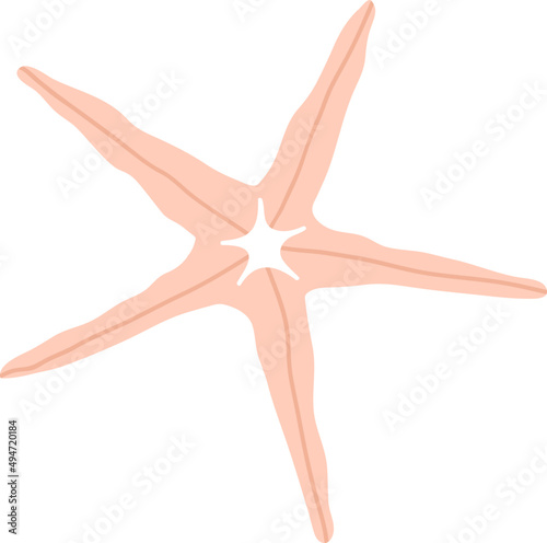 Realistic Starfish Colored Illustration