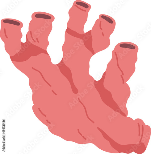 Realistic Coral Colored Illustration